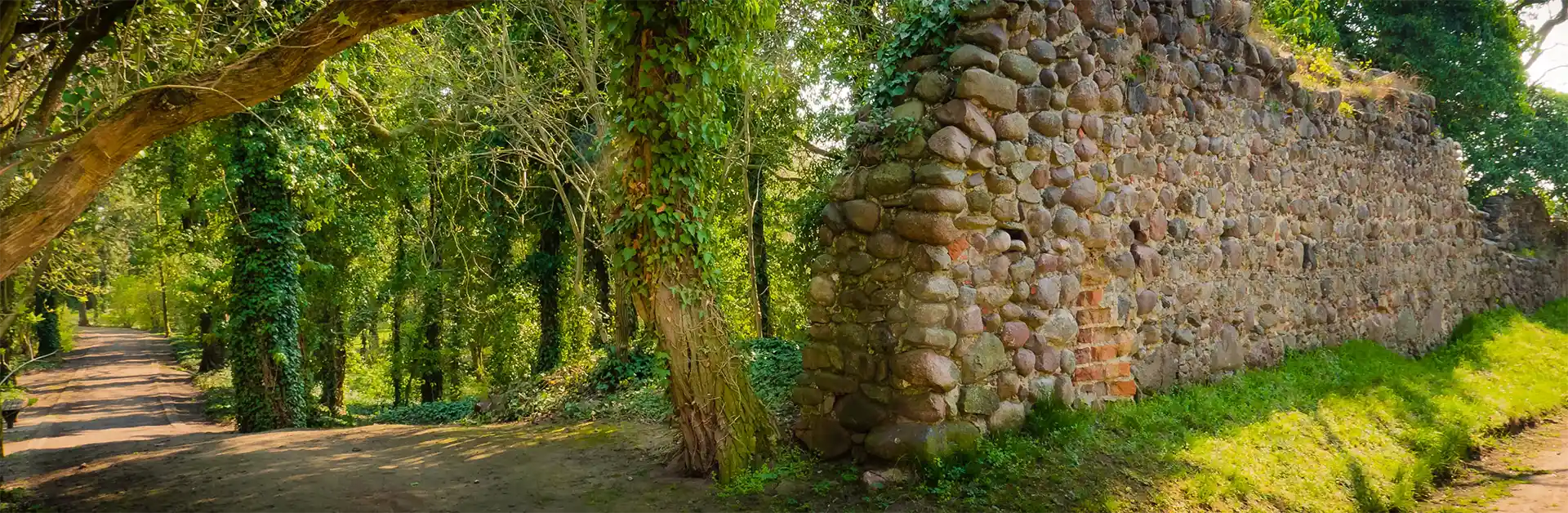 Alte Stadmauer Arneburg